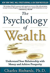 Image of The Psychology Of Wealth : ynderstand your  relationship with money and achieve prosperity